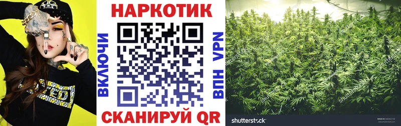 Где купить Суровикино КОКАИН СОЛЬ Псилоцибиновые грибы Конопля