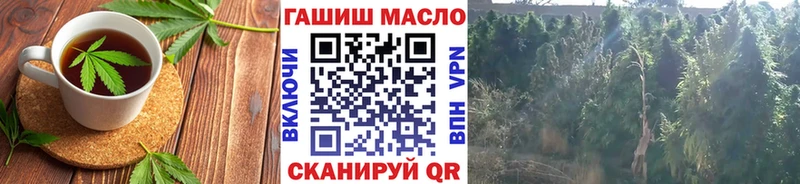 блэк спрут ССЫЛКА  Суровикино  Cannafood конопля 