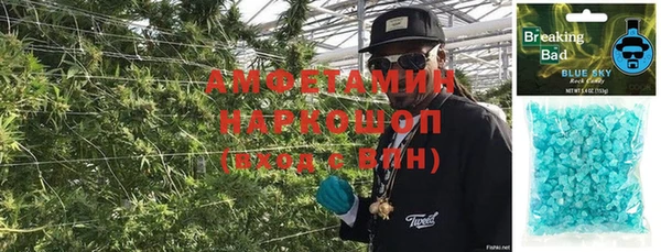 ГАЛЛЮЦИНОГЕННЫЕ ГРИБЫ Иннополис