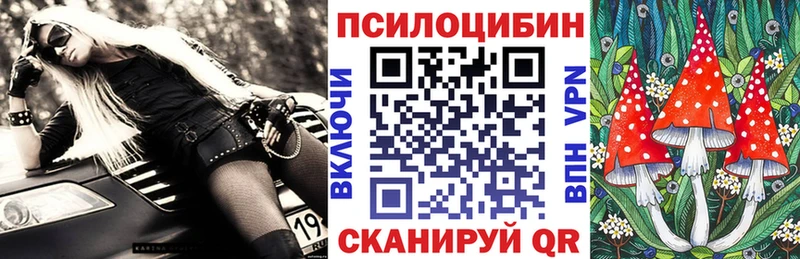 Галлюциногенные грибы Psilocybe Суровикино
