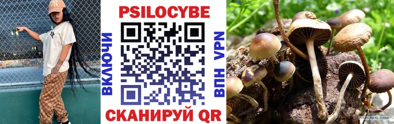 ссылка на мегу ссылки  Суровикино  Псилоцибиновые грибы мицелий 