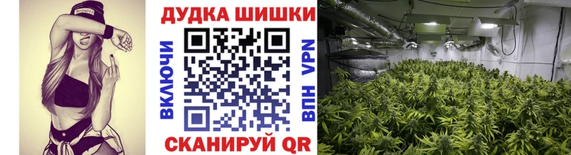 KRAKEN как войти  Суровикино  Конопля MAZAR 